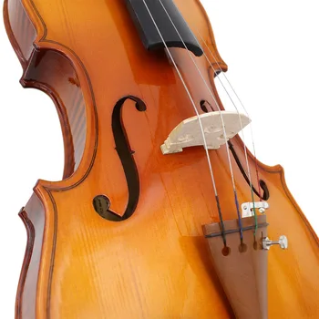 Profesionale 4/4 Full Size Vioara Din Lemn Masiv De Molid Panou Acustic Vioara Vioara Cu Cazul Arc Incepatori Instrument Muzical Cadou
