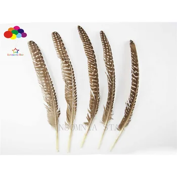 10buc natural premium fazanul de pene de 20-25cm/8-10inch maro coada punct alb frumos pentru Diy masca costum frizură