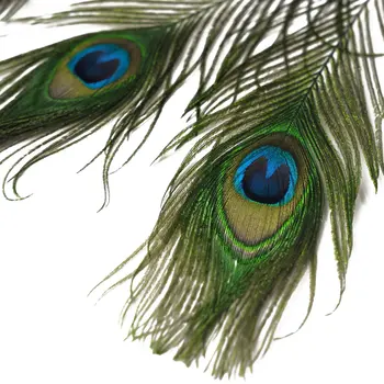 10buc Naturale Pene de Păun pentru Meserii de Nunta Decor Acasă 25-30cm Ochii Mari Pene de Păun Diy Bijuterii Accesorii